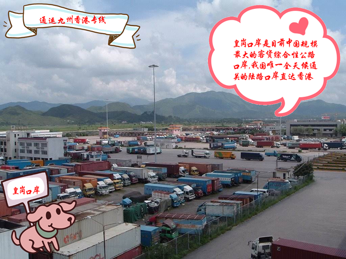 包裹被海關(guān)查扣我們?nèi)绾谓档蛽p失