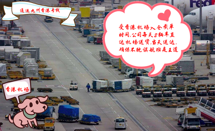 邢臺到香港物流有幾種物流時效,邢臺到香港貨運方案