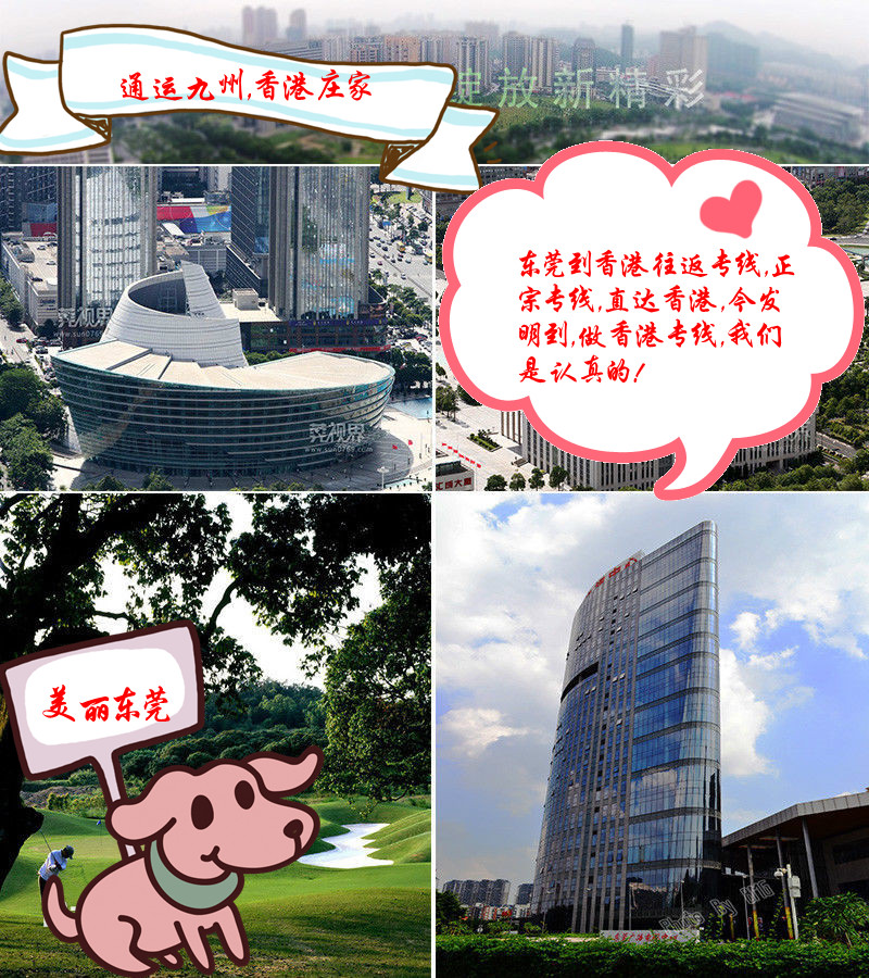 東莞到香港物流發(fā)貨注意事項,2022年已更新,東莞到香港貨運