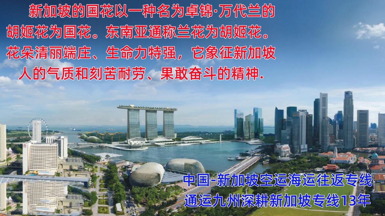 提供廣州到新加坡海運服務，供應廣州到新加坡空運服務，報價表你看看