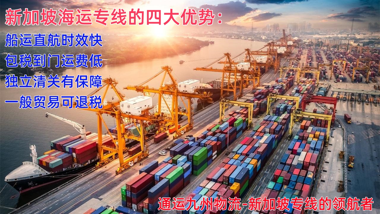 潮州到新加坡樟宜機(jī)場空運，7天直達(dá)，潮州海運到新加坡，15天到門