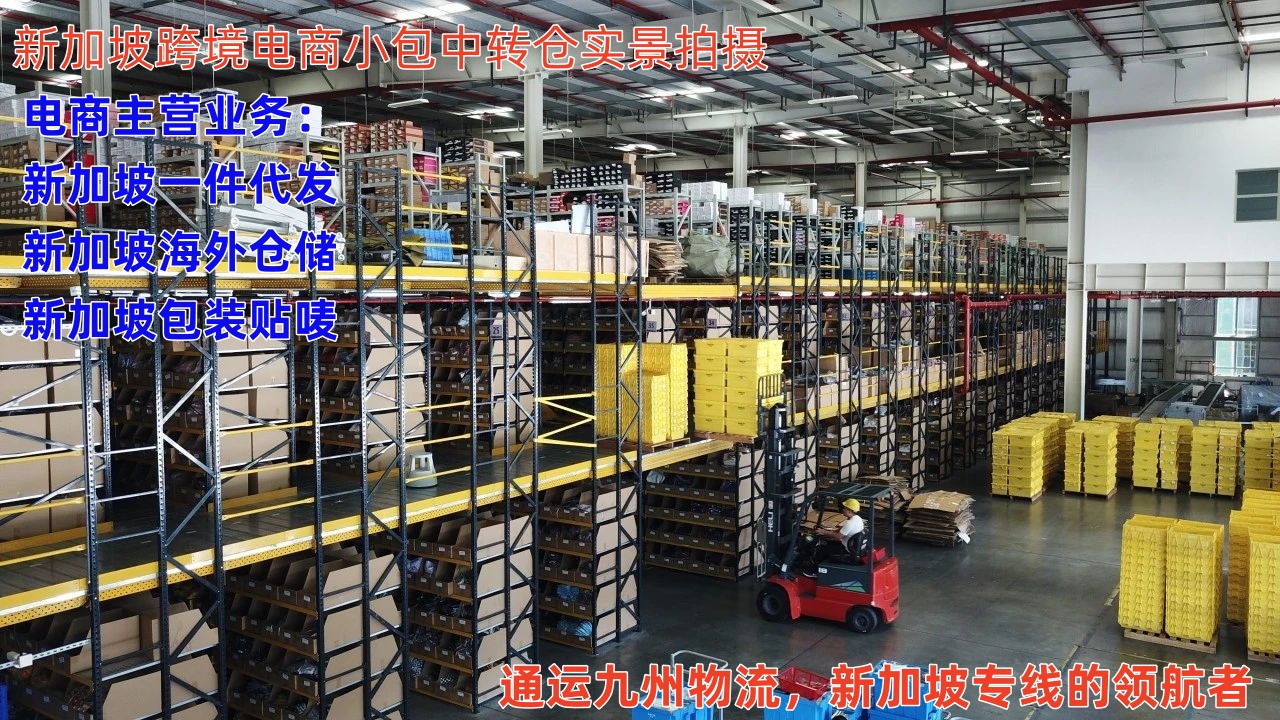 潮州到新加坡樟宜機(jī)場空運，7天直達(dá)，潮州海運到新加坡，15天到門